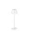 Grundig Διακοσμητικό Φωτιστικό LED Θερμό Λευκό 3000K 10x10x32εκ.