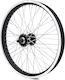 Saks 20"