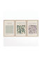 Frames Set 3pcs 862vrl4645 50x70cm Multi Wallity Vertical Wood Glass