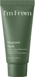 I'm From Mugwort Маска За Лице 30гр I'm From Mugwort Маска За Лице 30гр