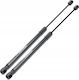 Hood Gas Struts Bmw 5 E60 E61 2003-2010 Front Front