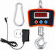 Boxer Elektronische Handelswaage mit Kranwaage und 1kg Zuggestanz