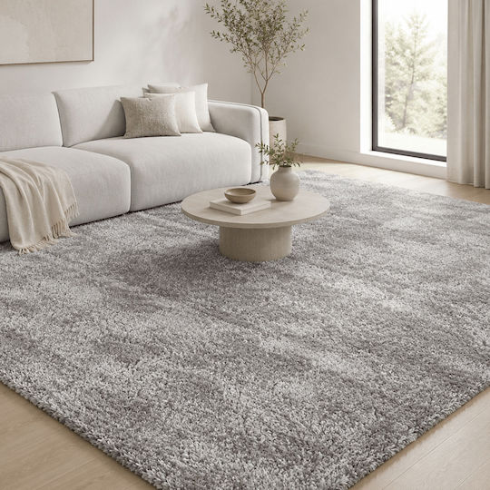 Polcarpet Wohnzimmer Teppich Rechteckig Zottelig Graue 200x290cm