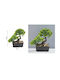 Artificial Potted Plant 20x8cm Sds-21665