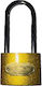 Padlock Brass with Key 50mm