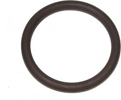 Oring Iveco Daily 00 Öldichtung 7701043512