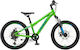 Polar 20 Παιδisches Mountainbike mit Scheibenbremsen und Aluminiumrahmen 2026 Grün