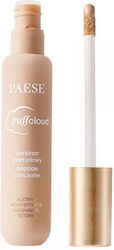 Paese Concealer