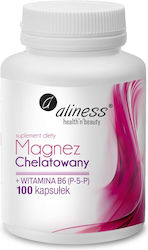 Aliness Chelated Magnesium 650 Mg + B6 (p-5-p) 650mg 100 κάψουλες Aliness Chelated Magnesium 650 Mg + B6 (p-5-p) 650mg 100 κάψουλες
