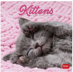 Legami Milano Kittens Annual Wall Calendar 2027 18x18cm