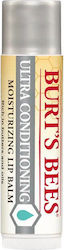 Burt's Bees Ulei De Buze Pentru Copii 4.25gr Burt's Bees Ulei De Buze Pentru Copii 4.25gr