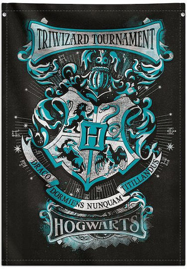 Grupo Erik Детски Плакат Hogwarts Houses 100x70см