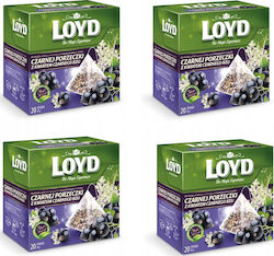 Loyd Schwarz Tee 20 Taschen Loyd Schwarz Tee 20 Taschen