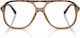 Ray Ban Flieger Braun Schildpatt Transparent Br...