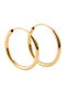 Hoops Earrings