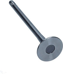 Renault Auslassventil 2.0dci/2.3dci 16v 7701476595