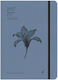 adBook Season Of You Дневен дневник B6 2027 Син...