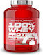 Scitec Nutrition 100% Whey Protein Professional Organic Whey Protein Gluten Free with Vanilla Very Berry Flavor 1.8kg