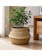 ForHome Coș Decorativ Din Paie 34x24cm