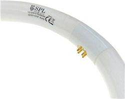 Leuchtstofflampe mit Form T9 32W 20 Stück 02.001.0797