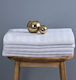 Hotel Sheet White Loft Cotton Satin Stripe 2 Cm 300tc 245x290