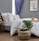 Cokitex Hotel Duvet Cover Cotton Striped 225x245cm