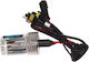 H.I.D Replacement Lamp 6000K H7