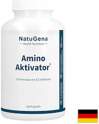Amino Activator 19 Aminokiselini – Muscle Recovery Muscle Mass Maintenance 180 Kapsuli Amino Activator 19 Aminokiselini – Muscle Recovery Muscle Mass Maintenance 180 Kapsuli