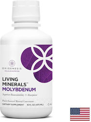 Подпомага разграждането на аминокиселини токсини молибден Living Minerals 473 мл Подпомага разграждането на аминокиселини токсини молибден Living Minerals 473 мл