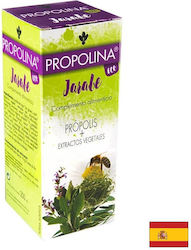 Artesania Agricola Sirop pentru copii pentru tuse uscată fără gluten 200ml Artesania Agricola Sirop pentru copii pentru tuse uscată fără gluten 200ml