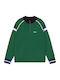 Langarm-Pullover Grün