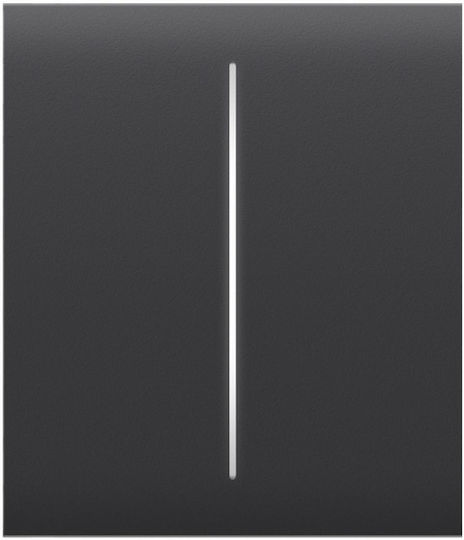 Ajax Center Button 2-gang Graphite Central Front Plate Frame 3 4 or 5 Position Wireless Double Light Control Switch Grey