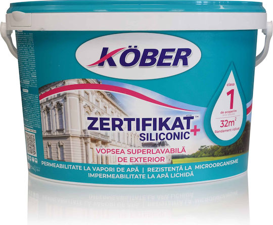 Silicone Exterior Washable Paint 4l Weather Water Resistant