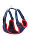 Dingo Dog Harness Bezuciskowe Xs 1.5cm/25-35cm Blue-Red