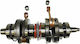 Wsm Set Arbore Cotit Complet Rulmenți-Flanșe General 010-1019wsm