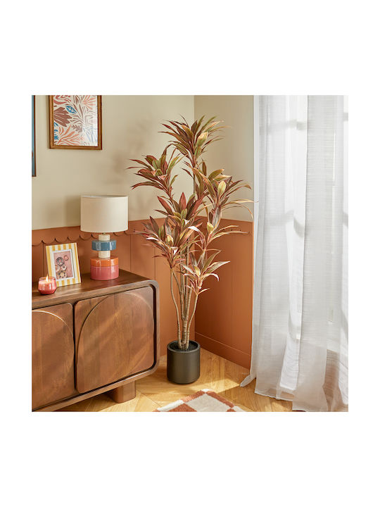 Artificial Dracaena Tree 175cm A-s Edi Red 2189...