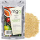 MIGOgroup Σπόροι Σινάπι 100gr