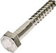 Inox Mare Треньорски Винт Inox Дин 571 с Диаметър M8 и Дължина 50mm М0704080
