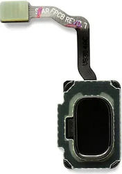 Fingerprint Reader Flex Cable Samsunggalaxy S9 S9 Plus Midnight Black Fingerprint Reader Flex Cable Samsunggalaxy S9 S9 Plus Midnight Black