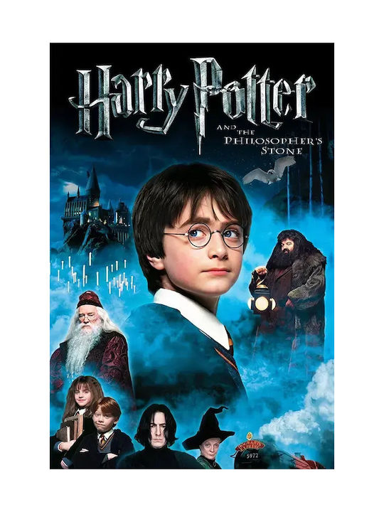 Poster Harry Potter Philosophers Stone Mv381 30cm X 40cm-71818pd159560