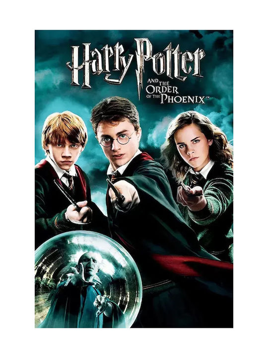 Плакат Harry Potter Order Phoenix Mv385 60см X 90см-71822pd159591