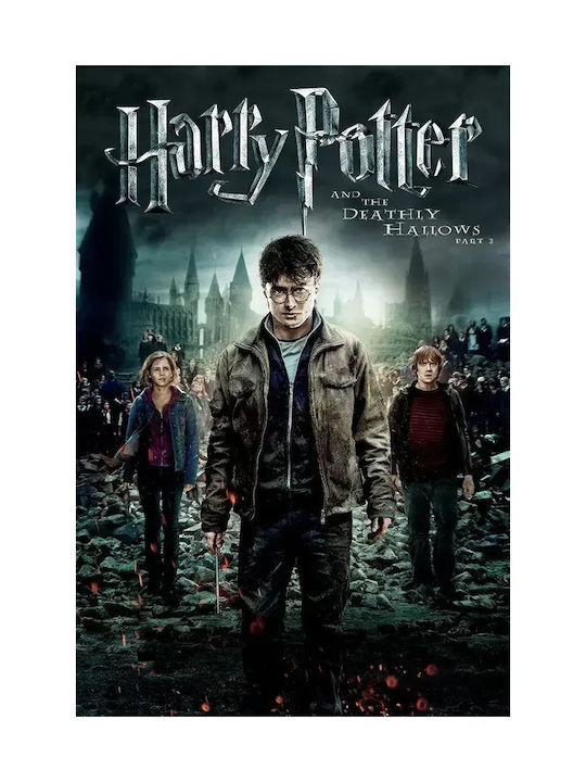 Harry Potter Deathly Hallows Part 2 Mv388 50cm X 70cm-71825pd159611