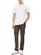 Men's Chino Trousers Regular Fit Brown