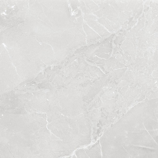 PPZ Plăci de Podea pentru Interior Finisaj Lucios 60x60cm Gri