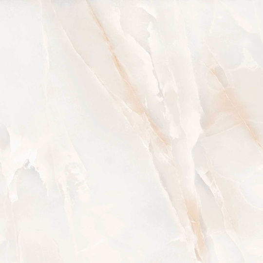 PPZ Onyxgr6060 Plăci De Podea Pentru Interior Finisaj Lucios 60x60cm Gri