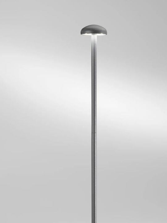 Fan Europe Puck LED Spike Light