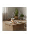 Home&Styling Collection Home Fragrance Burner Hapo + Incense 9 Pieces