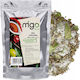 Φυτικό Αλάτι 250g Migogroup