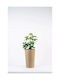 Adoni Kunststoff-Blumentopf Juta 36x22x36cm