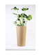 Adoni Plastic Flower Pot Natural 57x32x57cm